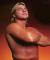 Terry Taylor and the Failed Red Rooster Gimmick