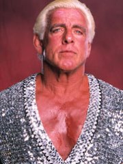 Ric Flair Talks Bret Hart, ROH, And A Possible Return To The Ring