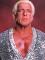 Ric Flair Taken To Hospital From WWE RAW, Suffered A Blood Clot