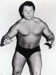 David Sammartino
