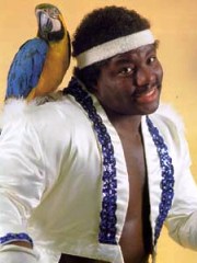 Koko B. Ware