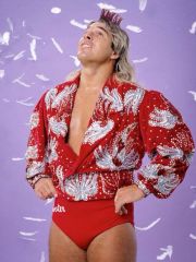 The Red Rooster: A WWE Gimmick That Completely Tanked Terry Taylor's Career