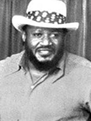 The Battles of Thunderbolt Patterson