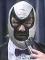 Review: Grappler: Memoirs of a Masked Madman